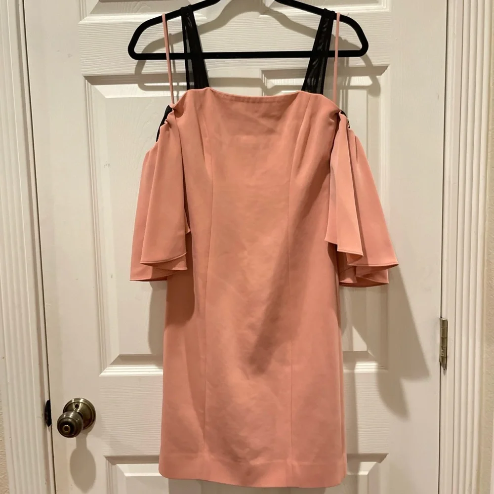 BLOGGERS FAVORITE Cinq a Sept Monroe Bloom Dress - Picture 5 of 9